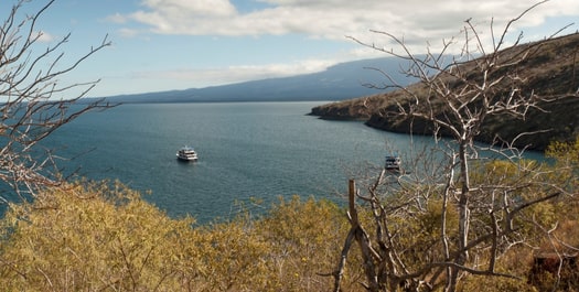 Isabela Island