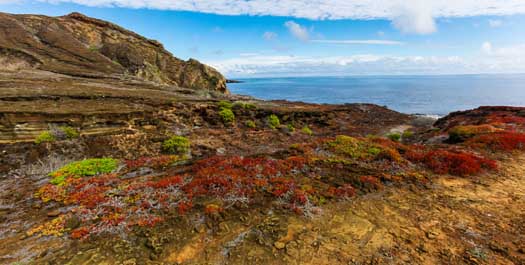 San Cristobal Island & Lobos Island