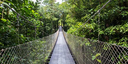 Tortuguero to Arenal via Hanging Bridges