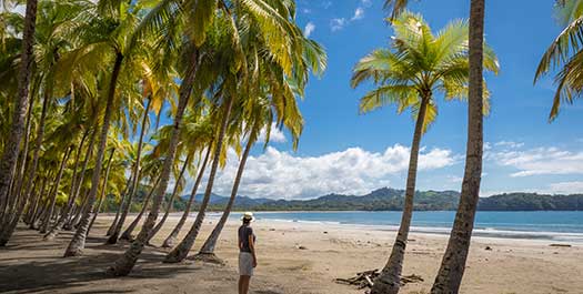 Tamarindo free day