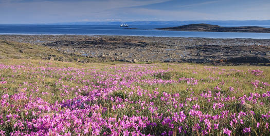 Ottawa - Iqaluit