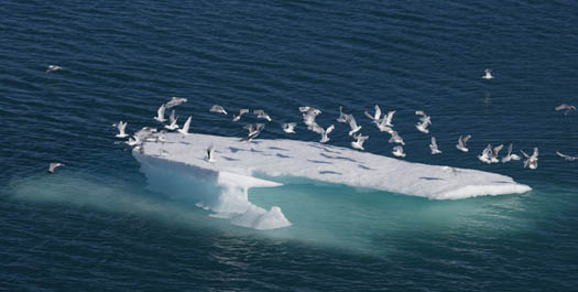 At Sea - Davis Strait