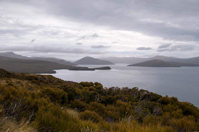 Auckland Islands – Carnley Harbour