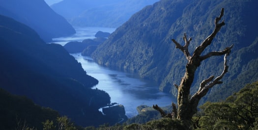 Fiordland - Day 3 to 5