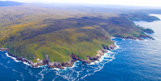 Stewart Island