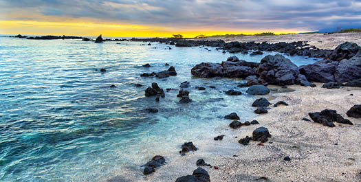 Isla Isabela and Las Tintoreras