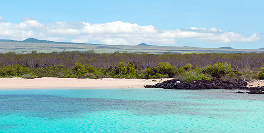 Isla North Seymour - Isla Santa Cruz