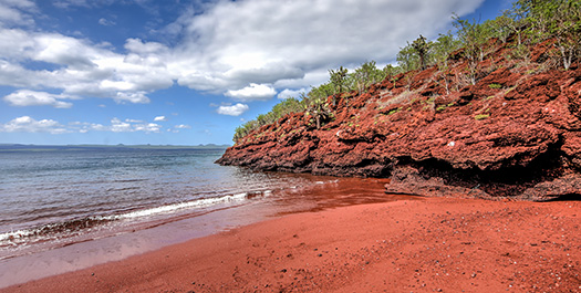 Isla Rabida - Isla Isabela