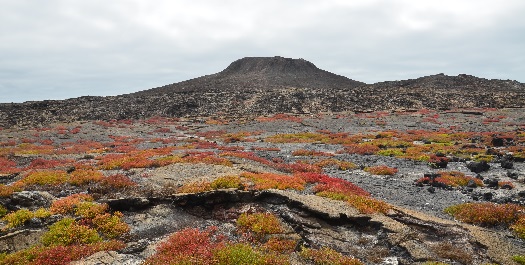 Santiago Island - North Seymour Island