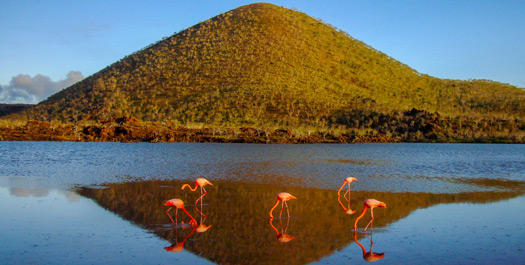 Cormorant's Point and Devil's Crown