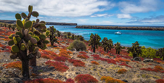 South Plaza & Santa Fe Islands