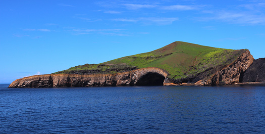 Isabela & Fernandina Islands