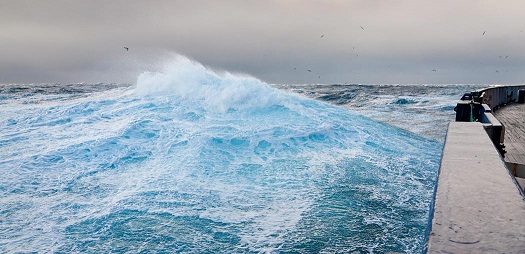 At Sea - Drake Passage - Days 21 & 22