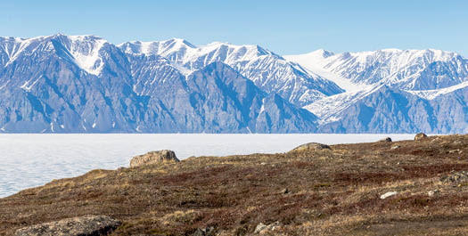 Pond Inlet, Bylot Island