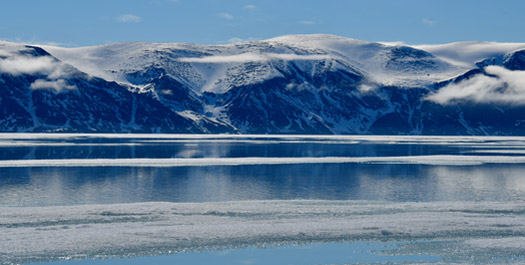 Bylot Island, Navy Board Inlet