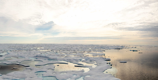 Beaufort Sea