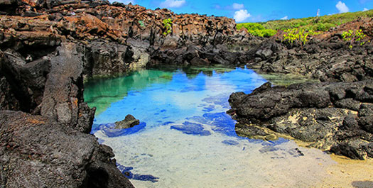 Genovesa Island & Darwin Bay