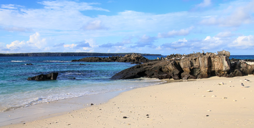 Darwin Beach & Prince Phillip’s Steps