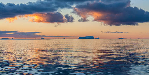 At Sea towards Ushuaia - Day 20 & 21